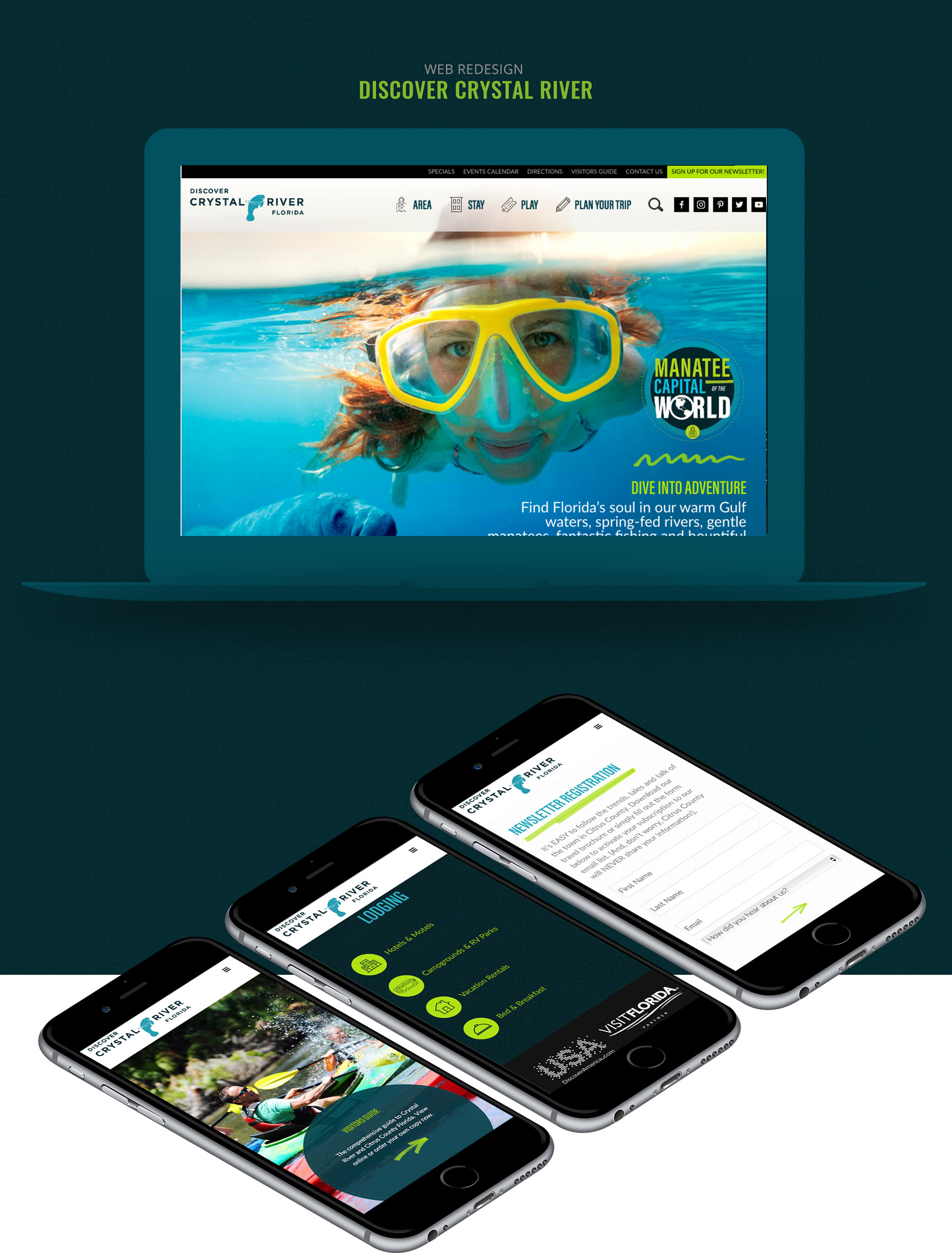 crystal river, citrus county, website design, development